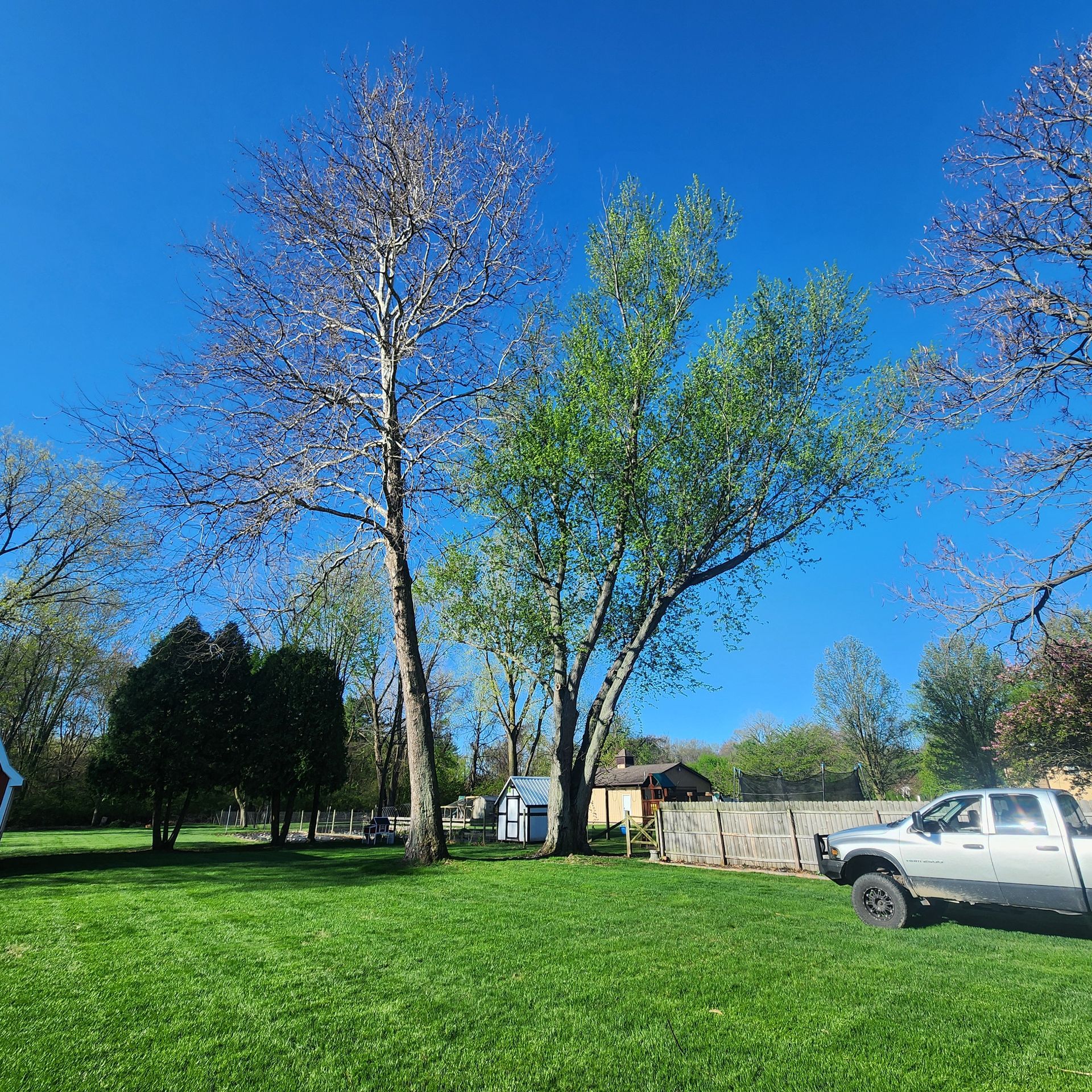 Green park with tall trees, blue sky, and a white pickup truck near a fence and small building