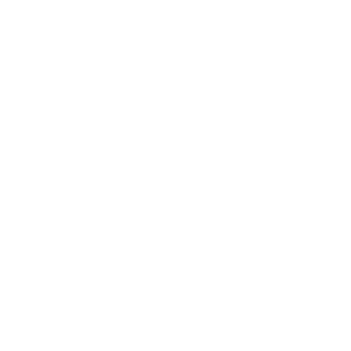 Steering Wheel — Forsyth, NC — Safe Ride Transportation Steering Wheel — Forsyth, NC — Safe Ride Transportation