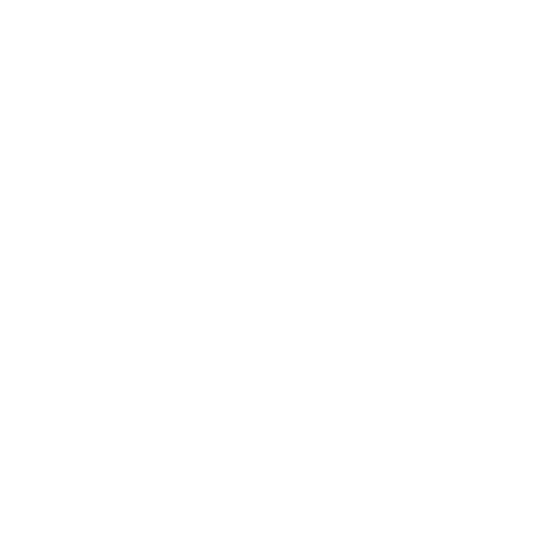 Accessibility Lift — Forsyth, NC — Safe Ride Transportation Accessibility Lift — Forsyth, NC — Safe Ride Transportation