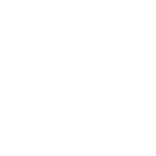 Driver With Seatbelt — Forsyth, NC — Safe Ride Transportation Driver With Seatbelt — Forsyth, NC — Safe Ride Transportation