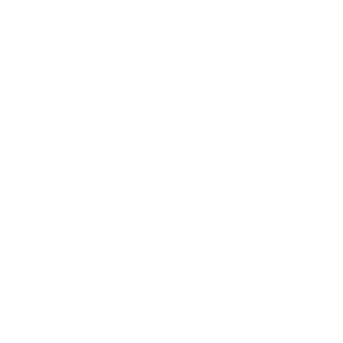 Van With Accessibility Lift — Forsyth, NC — Safe Ride Transportation Van With Accessibility Lift — Forsyth, NC — Safe Ride Transportation