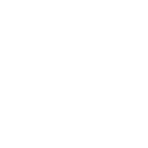 PWD With Arrow — Forsyth, NC — Safe Ride Transportation PWD With Arrow — Forsyth, NC — Safe Ride Transportation