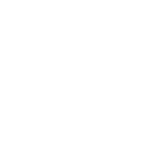 Driver With License — Forsyth, NC — Safe Ride Transportation Driver With License — Forsyth, NC — Safe Ride Transportation