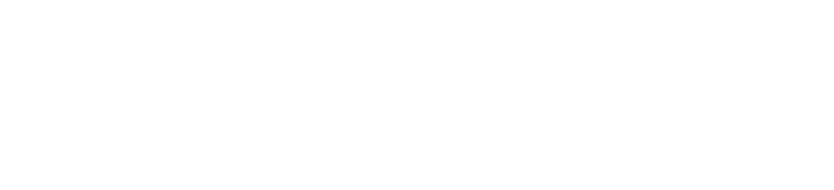 Premier Townhomes Logo - White