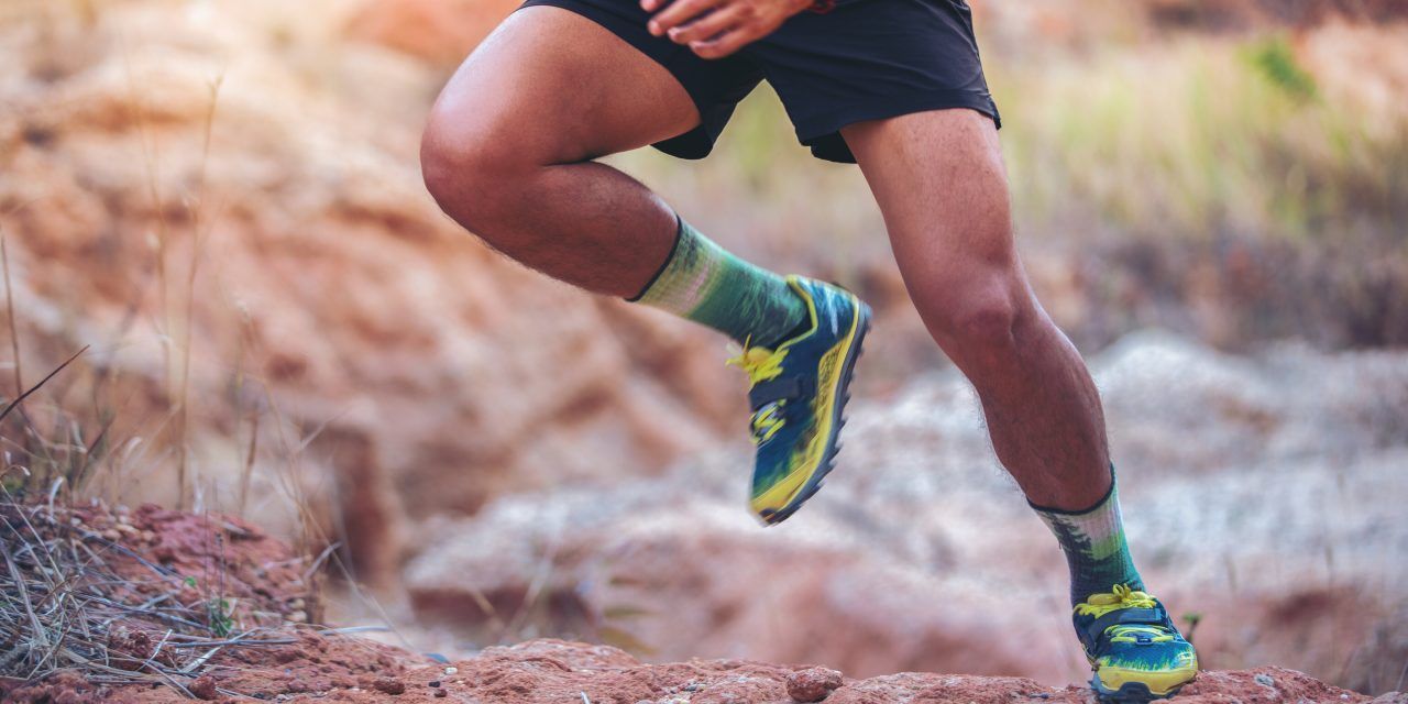 COACH’S CORNER – GOING FROM ROAD RUNNING TO TRAILS WITH GLEN SMETHERHAM