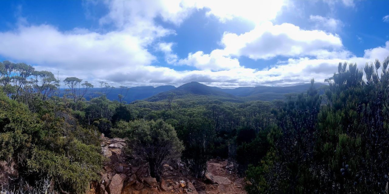 THE BRILLIANCE OF KUNANYI MOUNTAIN RUN