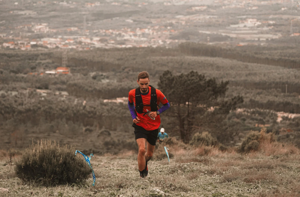 Feature: Trail Tails