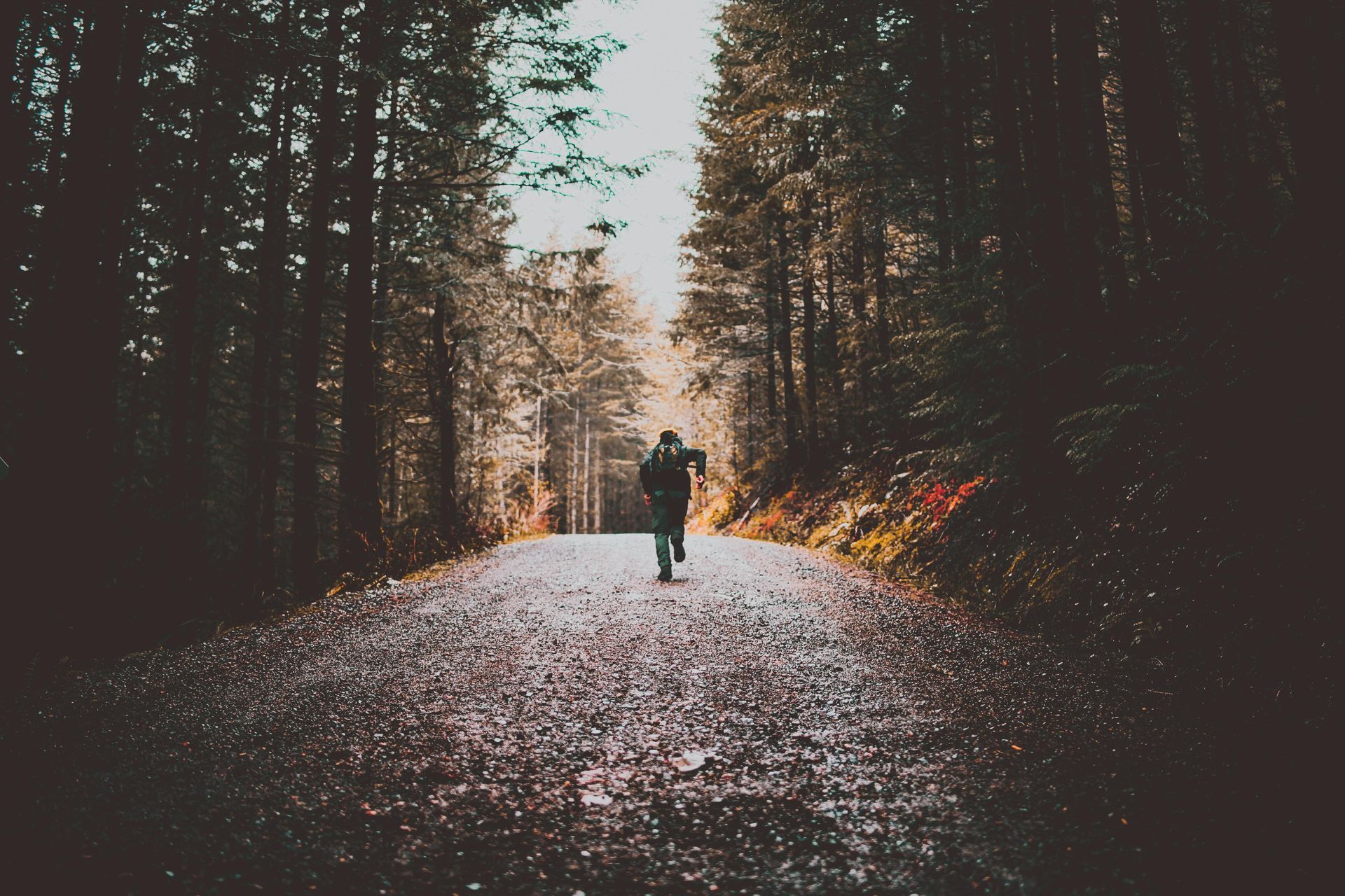 From The Trails (July 2025)