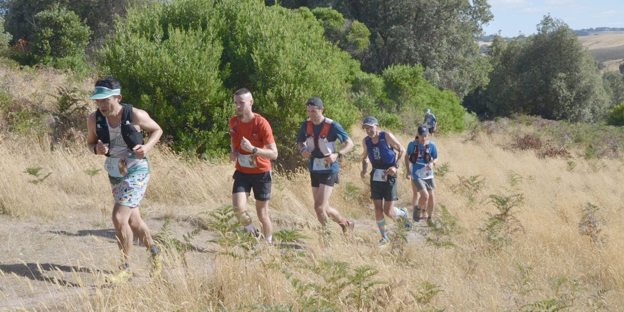 Two Bays Trail Run RD Report (AURA Short Course Trail Championships)