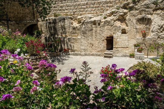 Ancient stone courtyard with a small doorway, blooming purple flowers in the foreground, and a cliff-like rock wall.