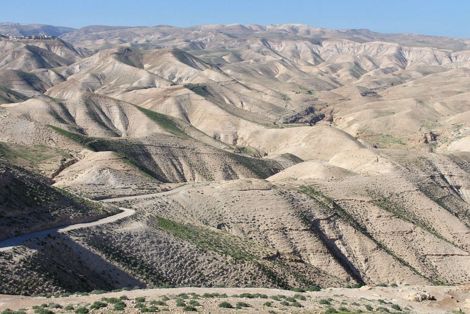 Arid, rolling hills with sparse vegetation under a clear sky