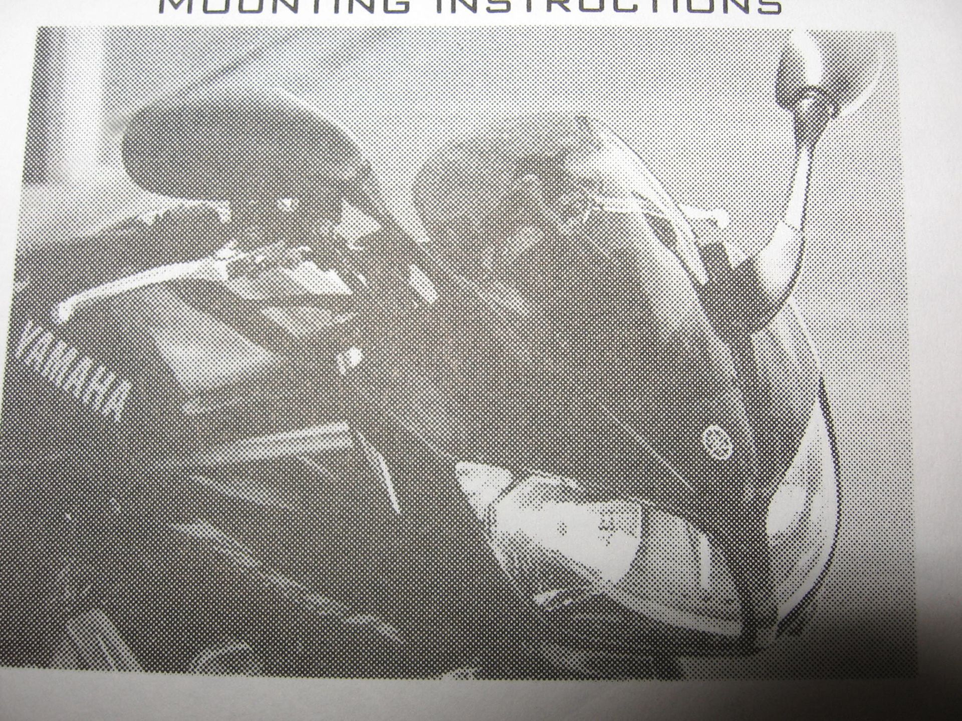 kuipruit donker  // FZS1000	oem			5lv-w0710-30