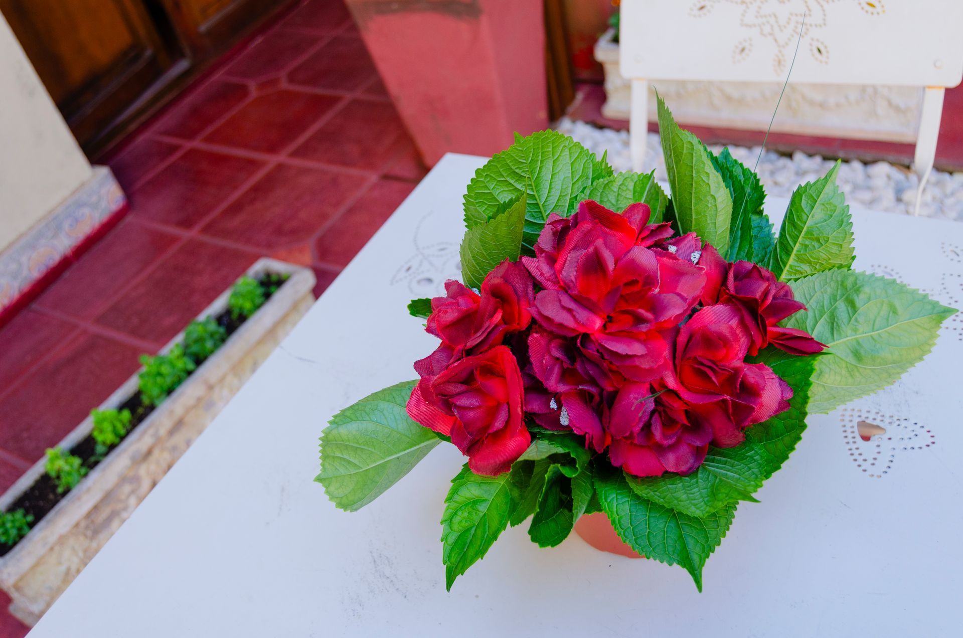 Una hortensia roja vibrante en una maceta reposa sobre una mesa blanca, junto a una jardinera alargada en un patio embaldosado.