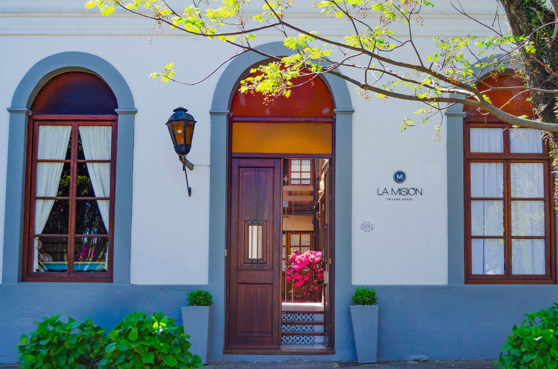 Fachada blanca con puerta central de madera, dos ventanas arqueadas, molduras grises y plantas verdes en macetas cuadradas.