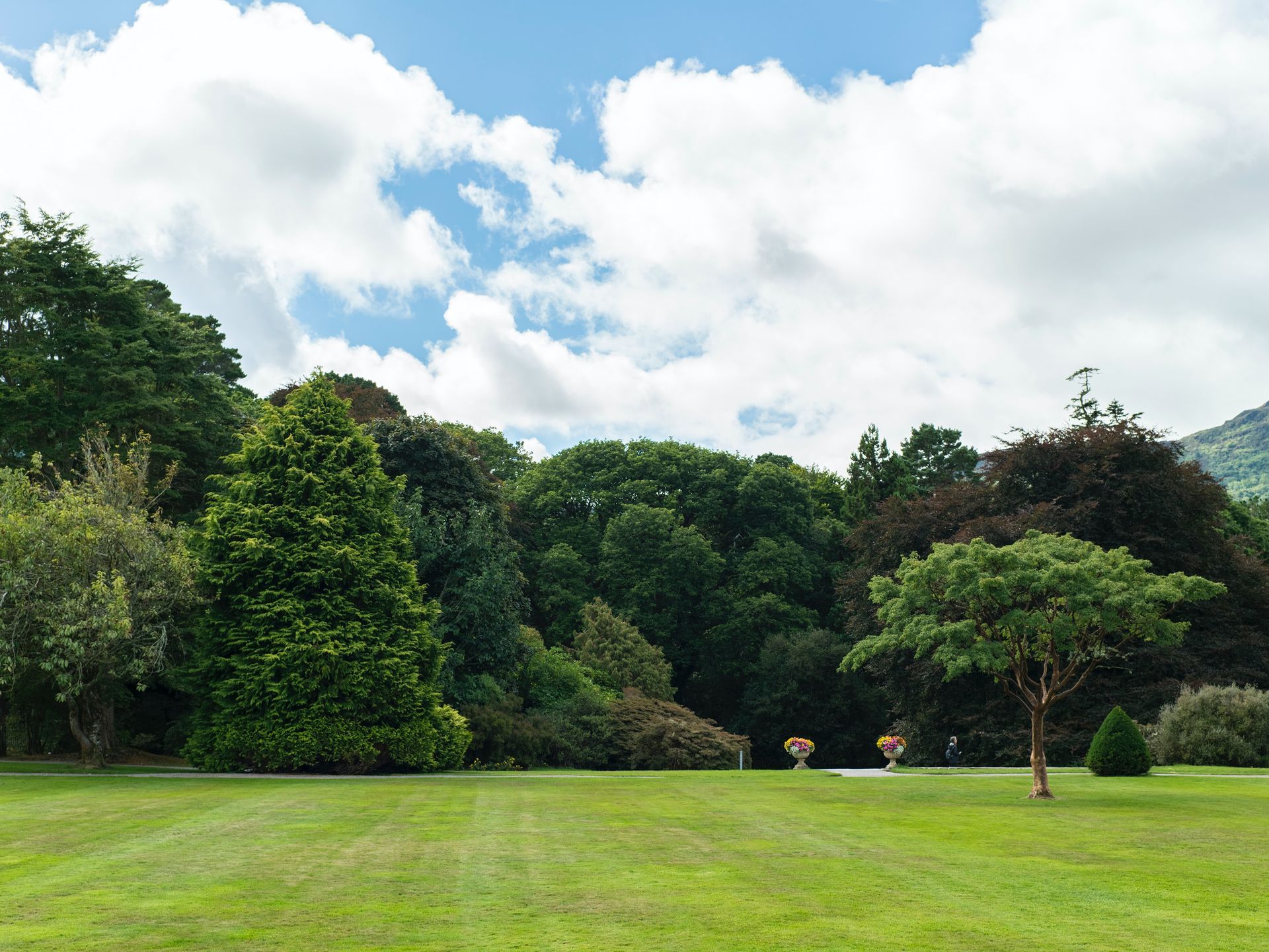 A meticulously mowed and manicured lawn stretches out beneath a backdrop of towering, majestic trees.