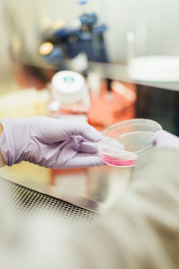 Controllo di laboratorio medico