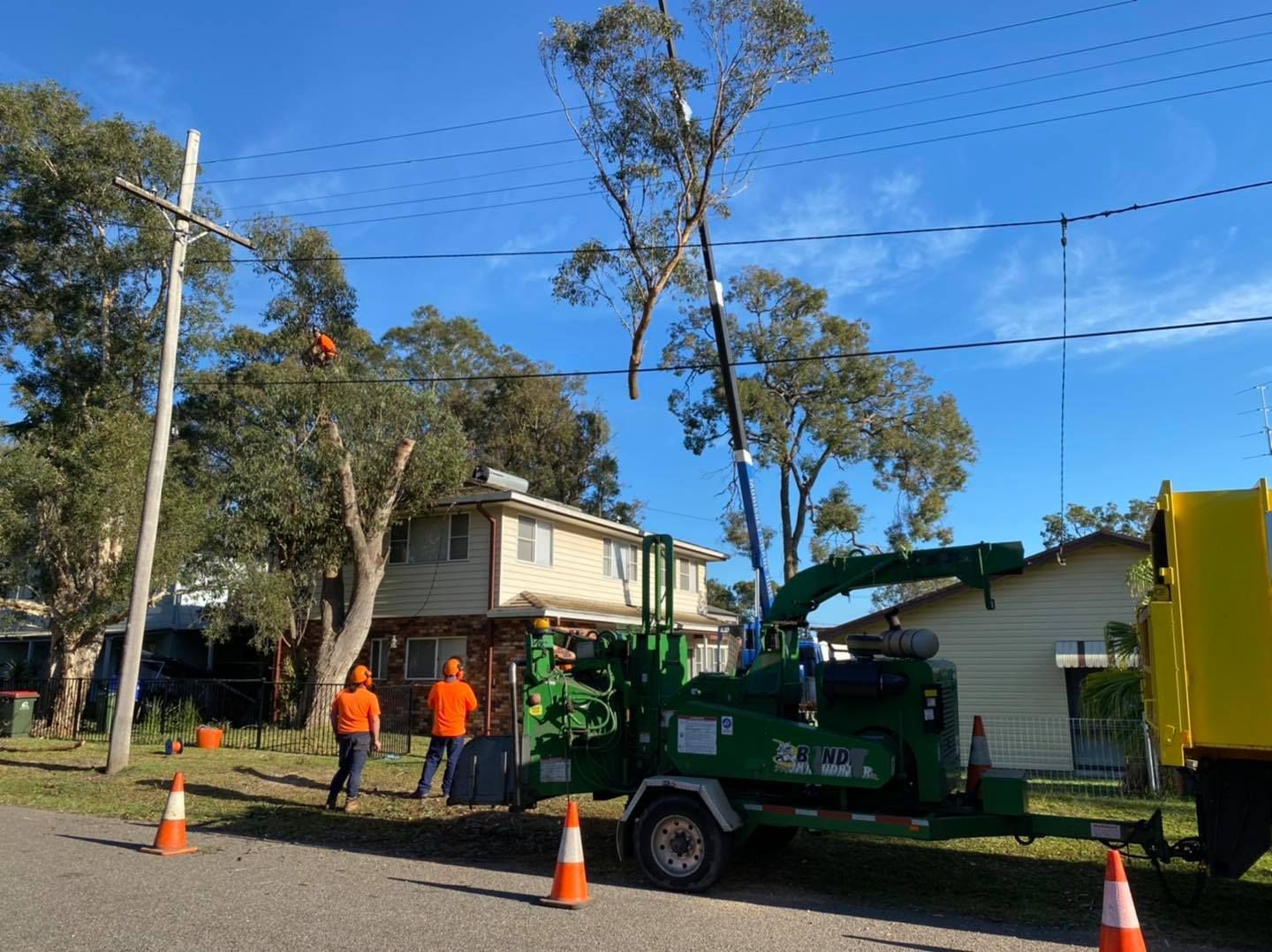 Tree Trimming Crew Working Near Power Lines — Chop n Drop Tree Specialists in Eleebana, NSW