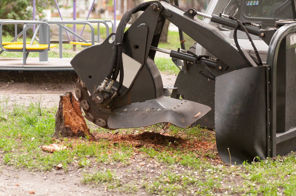 A Stump Grinder Removing a Tree Stump in a Grassy Area Near a Playground — Chop n Drop Tree Specialists in Belmont, NSW