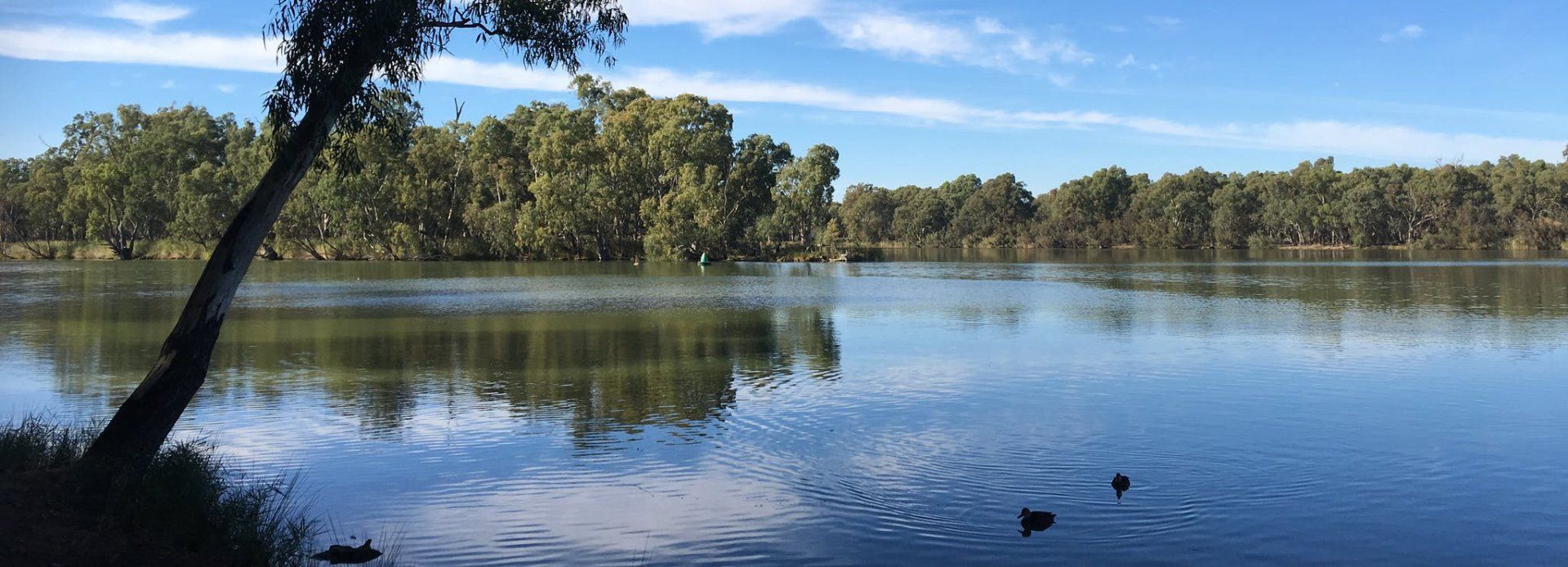 Apex Riverbeach Holiday Park Murray River serene