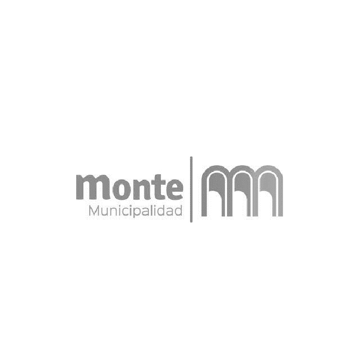Logotipo del Ayuntamiento de Monte: texto gris 