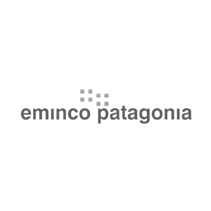 El logotipo de Eminco Patagonia en color gris sobre fondo blanco, con una cuadrícula de cuatro pequeños cuadrados sobre el texto.