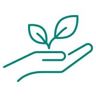 Een turquoise lijntekening van een klein plantje met twee blaadjes dat in een open handpalm rust.