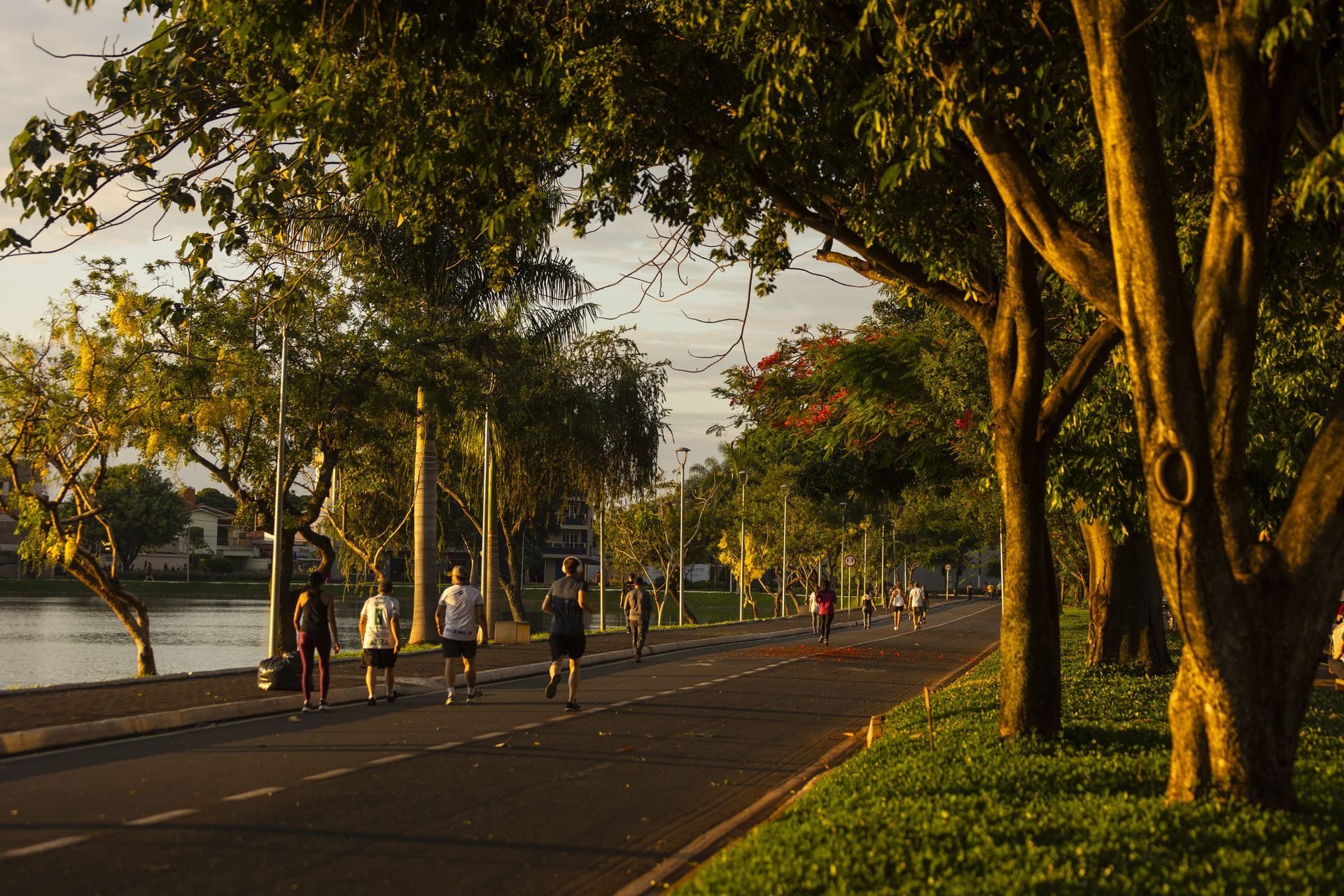 Área verde urbana com cidade ao fundo