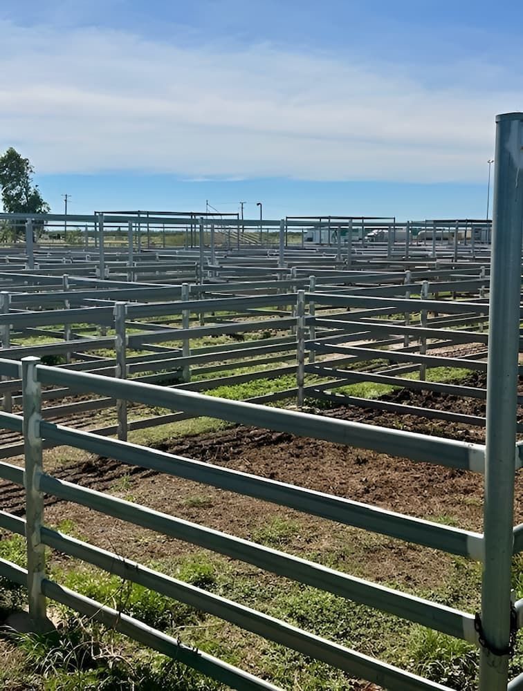A Fenced In Area With A Lot Of Fences In It — PH Davie in Boulia, QLD