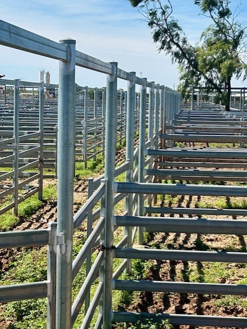 A Metal Cattle Fence In A Field — PH Davie in Mount Isa, QLD