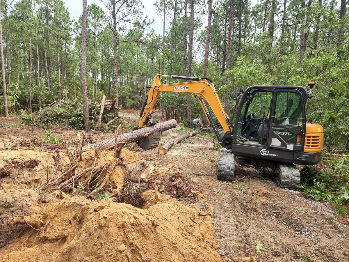 Stump Removal — Pelion, SC — Hereford and Son LLC