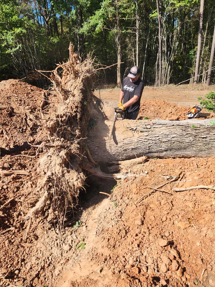 Man Cutting Trees — Pelion, SC — Hereford and Son LLC