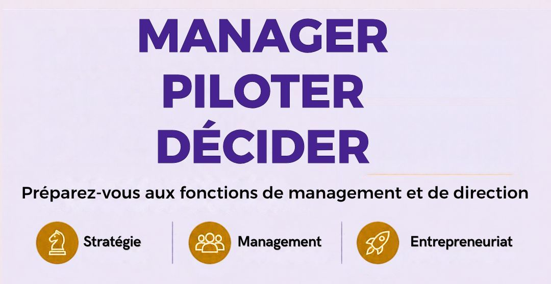 French promotional banner with purple text “MANAGER, PILOTER, DÉCIDER” and icons for strategy, management, entrepreneurship