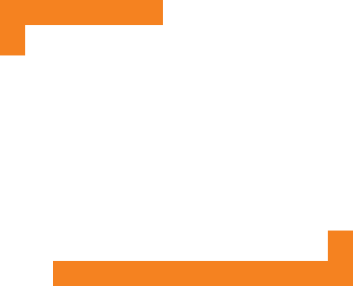 Logo HS-Projects wit