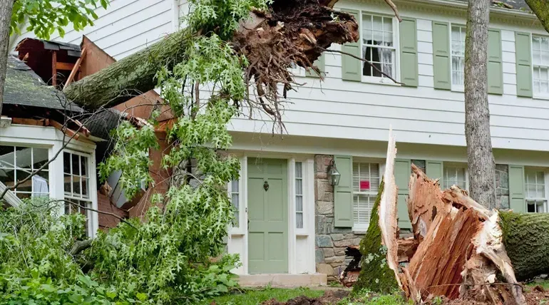 Storm and tree damage roof replacement work in the Westminster, CO area