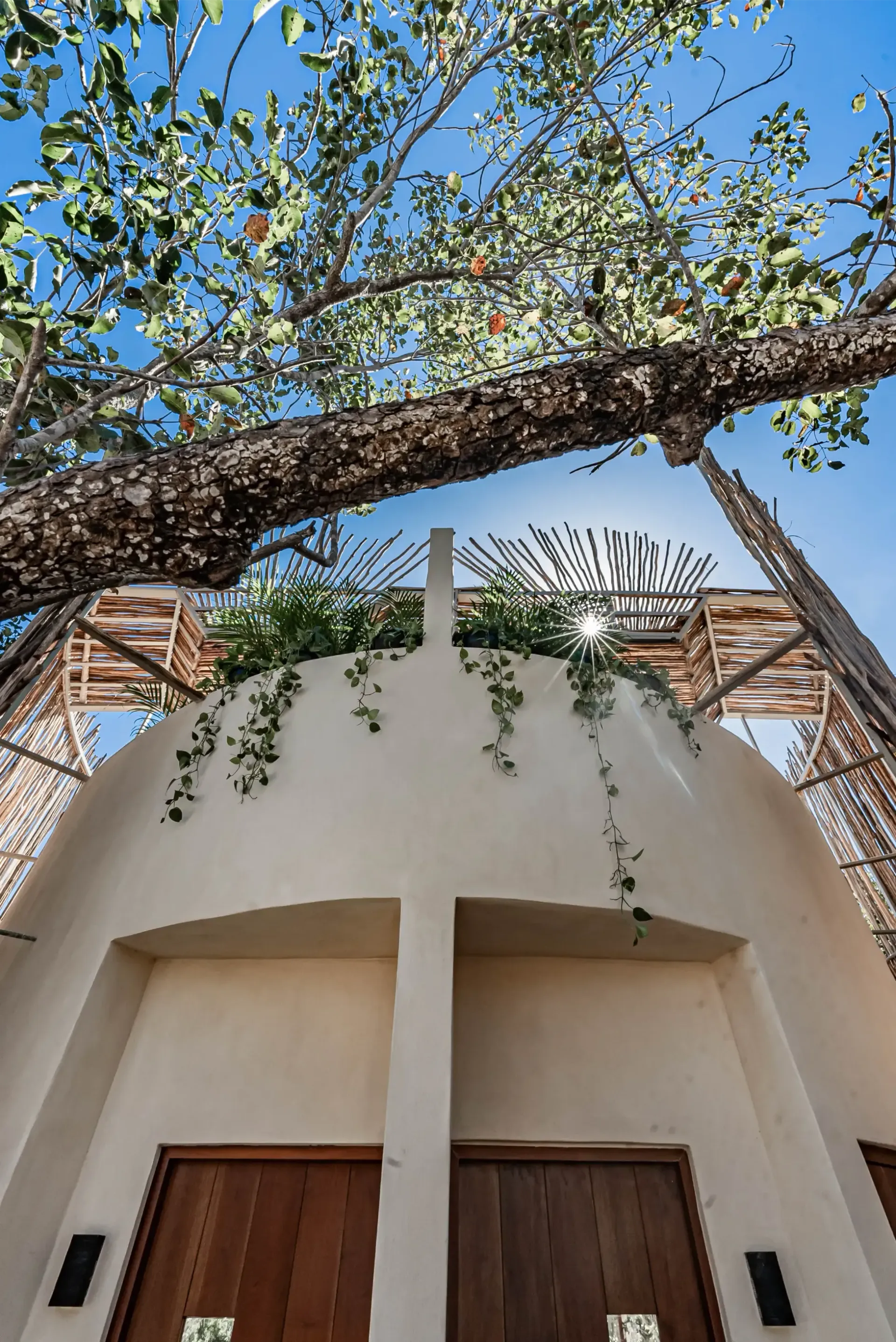 Low-angle shot of a rounded white building with wooden doors, overhanging tree branches, and wooden trellis structures.
