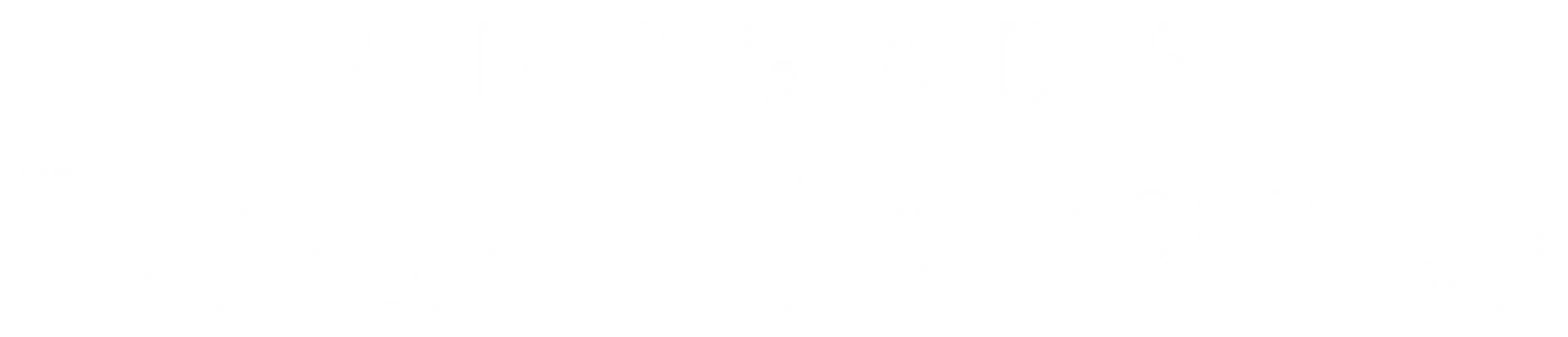 Abogada Carrizo Rocío