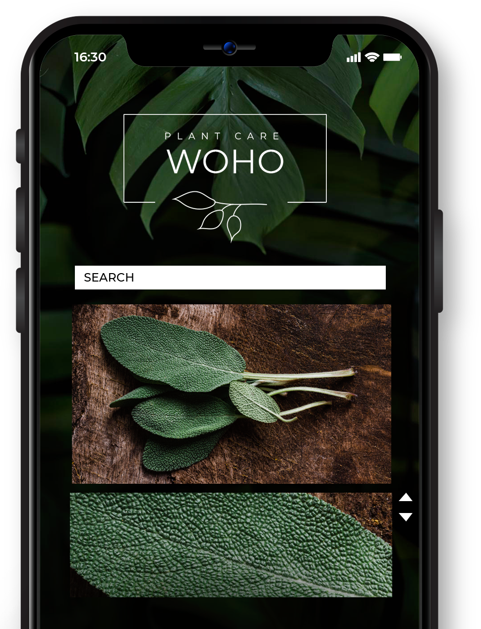 A cell phone with a plant app on it.