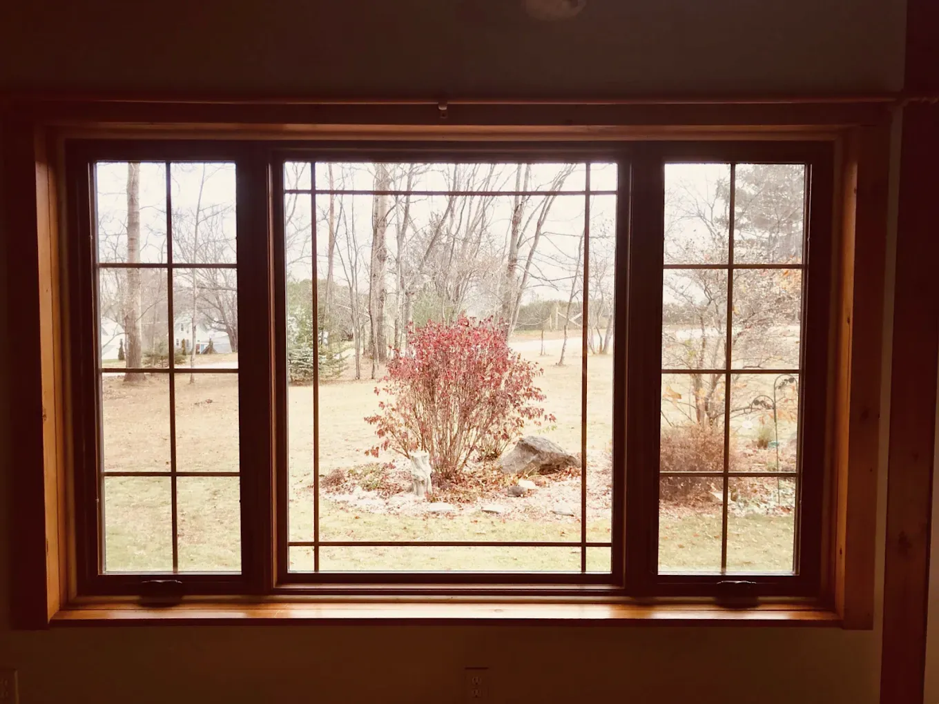 Wood-framed window overlooking a yard with a red shrub and bare trees