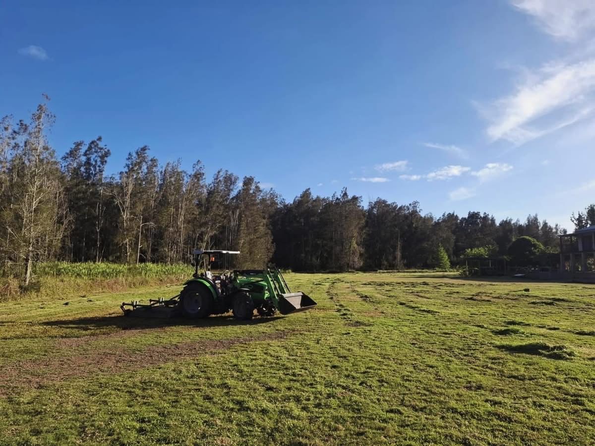 A Stump Grinder is Cutting a Tree Stump in a Lawn — Barrington Coast Contracting in Minimbah, NSW