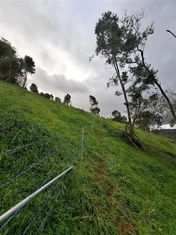 A Fence Surrounds a Field With Cows in It — Barrington Coast Contracting in Minimbah, NSW
