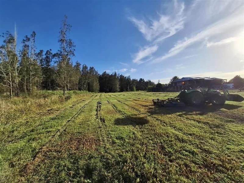 A Tractor is Carrying a Pile of Logs in a Forest — Barrington Coast Contracting in Bulahdelah, NSW