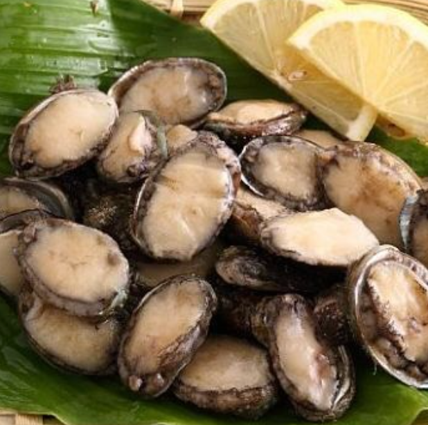 帶殼盤鮑魚