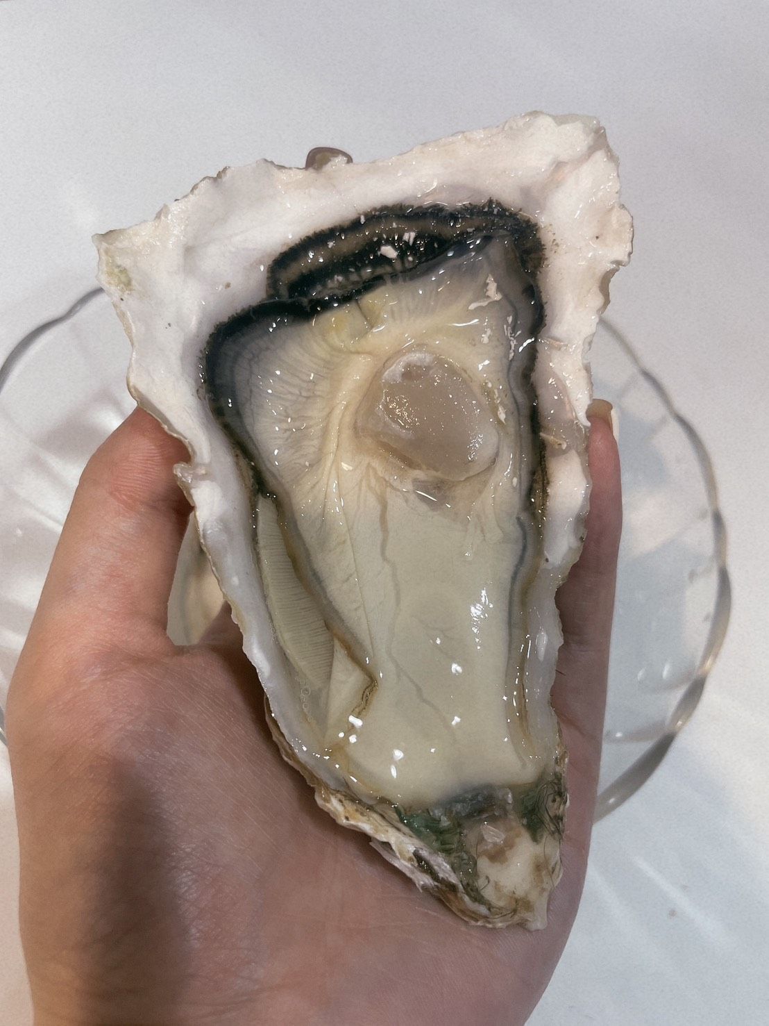 2L宮城生食級生蠔100-150g