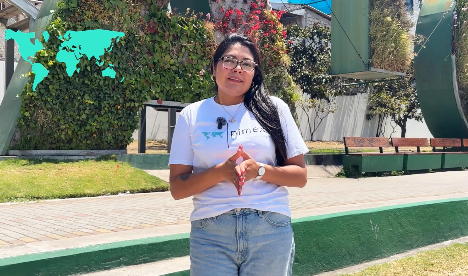Importaciones Directas en Ambato | Asesoría en Comercio Exterior - PIMEX Corp