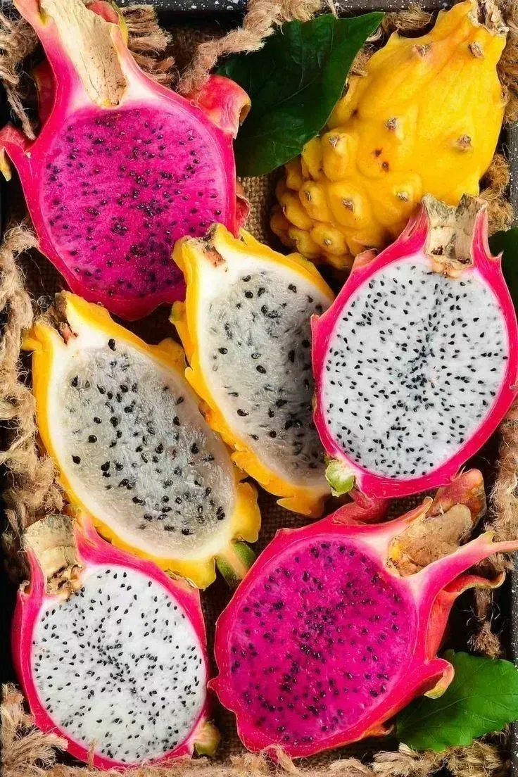 Pitahaya? Le ayudamos a exportar! PIMEX Proyectos de Importación y Exportación de Pallets a Contenedores!