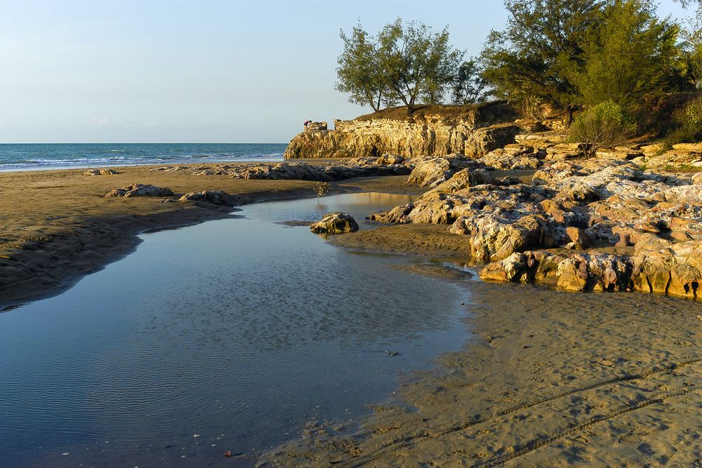 A River Runs Through A Sandy Beach Near The Ocean — Holloway Brothers In Casuarina, NSW