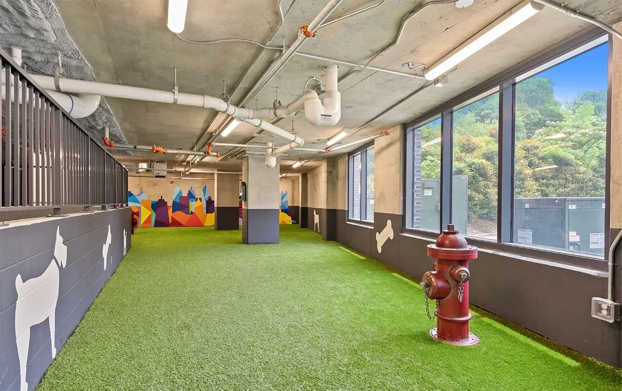 Indoor dog park with artificial turf, fire hydrant, and city skyline mural.