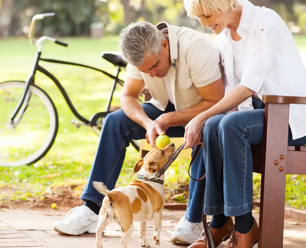 Couple playing with a dog on a bench with a bicycle nearby.