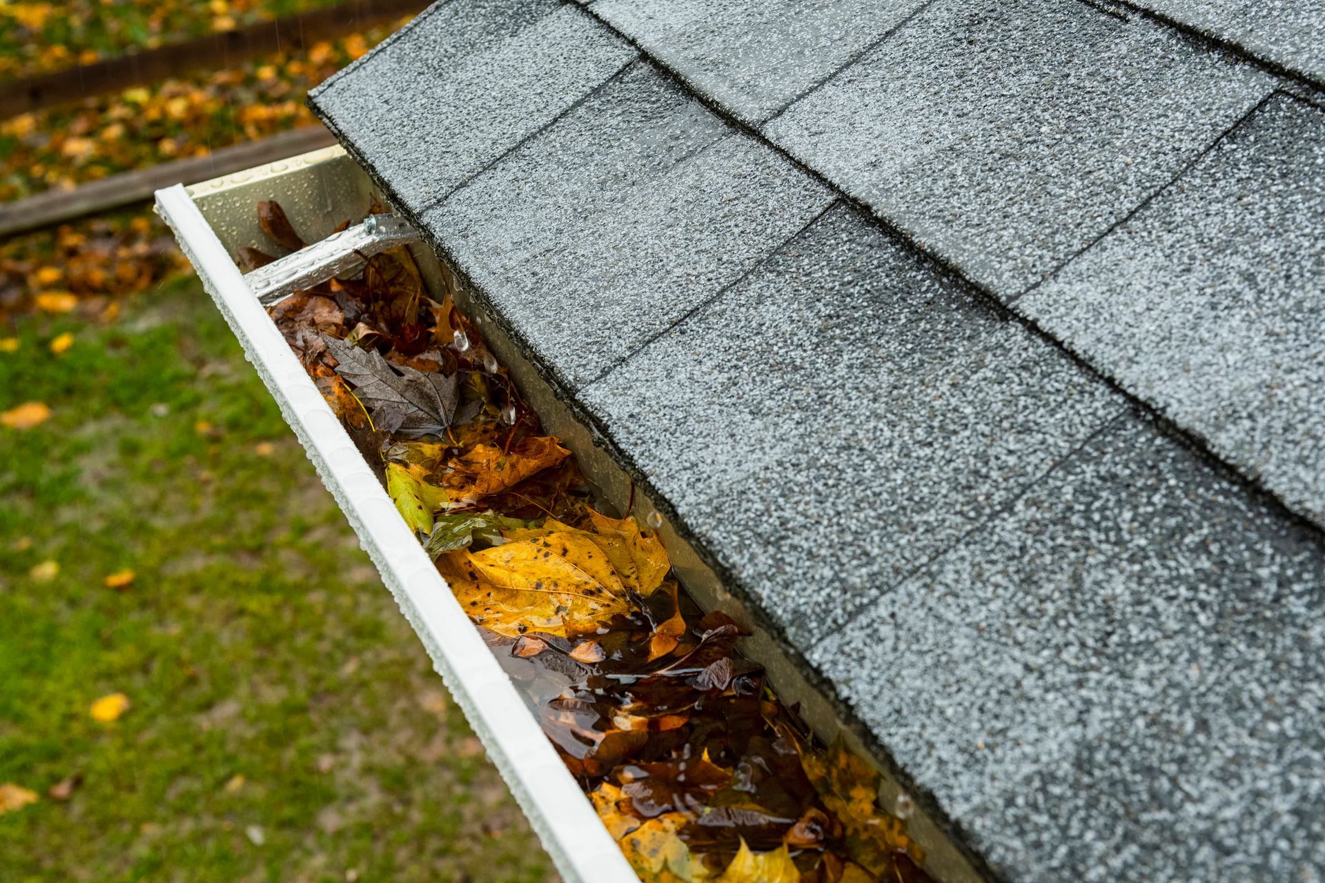 Gutter filled with wet leaves, next to a grey asphalt shingle roof, green lawn in background.