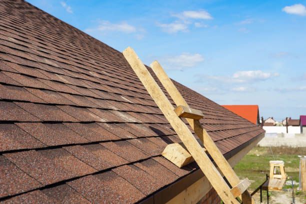 Brown shingled roof with a wooden ladder resting on it, under a blue sky.